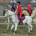 Eliška Řežuchová a Ermidor