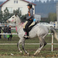 Tereza Henzlová a Hamadan 11 SK