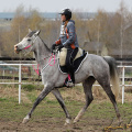 Tereza Henzlová a Hamadan 11 SK