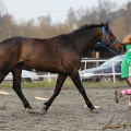 Lucie Škábová a Žoly